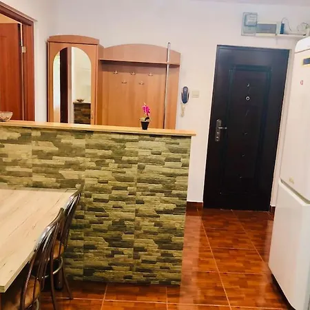 Modern Flat Near City Center I1 Timisoara