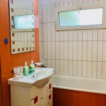 Modern Flat Near City Center I1 Apartment Timisoara